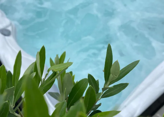 Hébergement de vacances Maison 7 Couchages&jaccuzi *